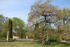 Garten Garten