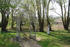 Pavillon im Garten Pavillon im Garten