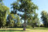Parkanlage Goldenitz Parkanlage Goldenitz