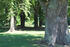 Parkanlage Goldenitz Parkanlage Goldenitz