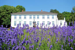 Gutshaus Klein Strömkendorf, Foto: Marita Gronau Gutshaus Klein Strömkendorf, Foto: Marita Gronau