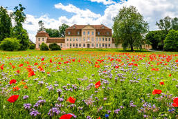 Gutshaus (Schloss) Kummerow bei Malchin, Nordfassade, Foto: Alexander Rudolph