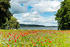 Blick auf den Kummerower See, Foto: Alexander Rudolph