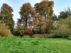 Sophienhof, Tessin Sophienhof, Tessin