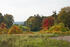 Park Vietgest im Herbst Park Vietgest im Herbst