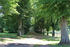Allee im Schlosspark Kaarz Allee im Schlosspark Kaarz
