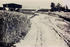 Historisches Foto: Der Landweg, der von der Chaussee zum Gut Alt Seehagen führte