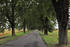 Allee nach Bassendorf Allee nach Bassendorf