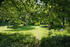 Park Bassendorf Park Bassendorf