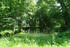 Park Nehringen Park Nehringen
